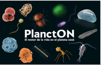 plancton de la vida real